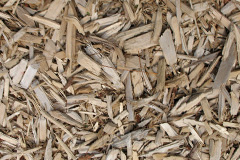 biomass boilers Tiptoe