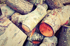 Tiptoe wood burning boiler costs